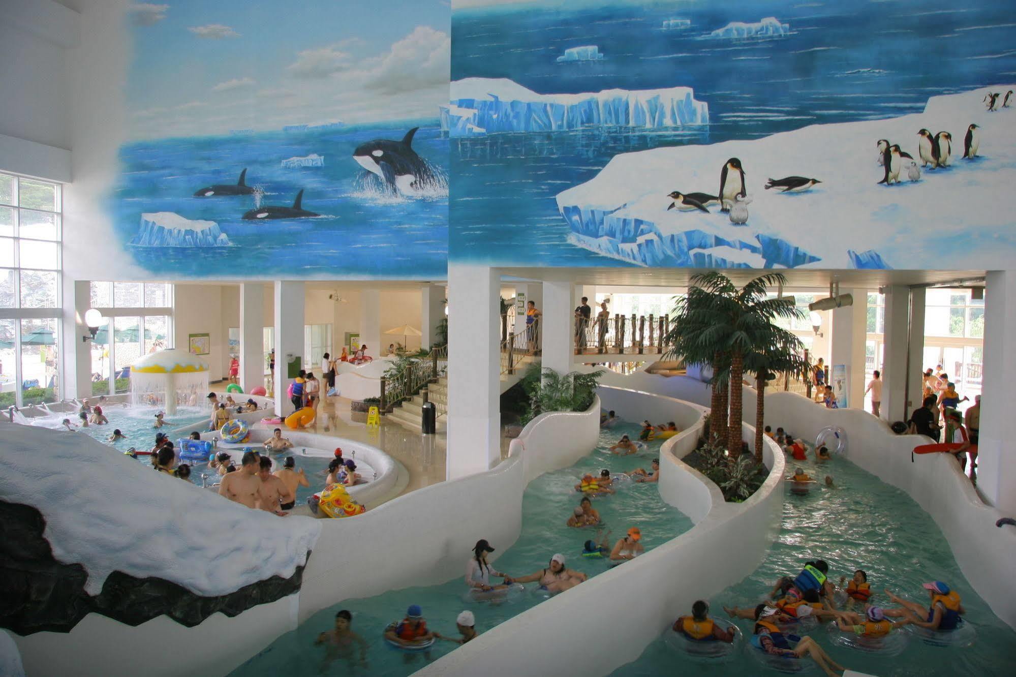 Yongpyong Resort Villa Condominium Pyeongchang Eksteriør billede