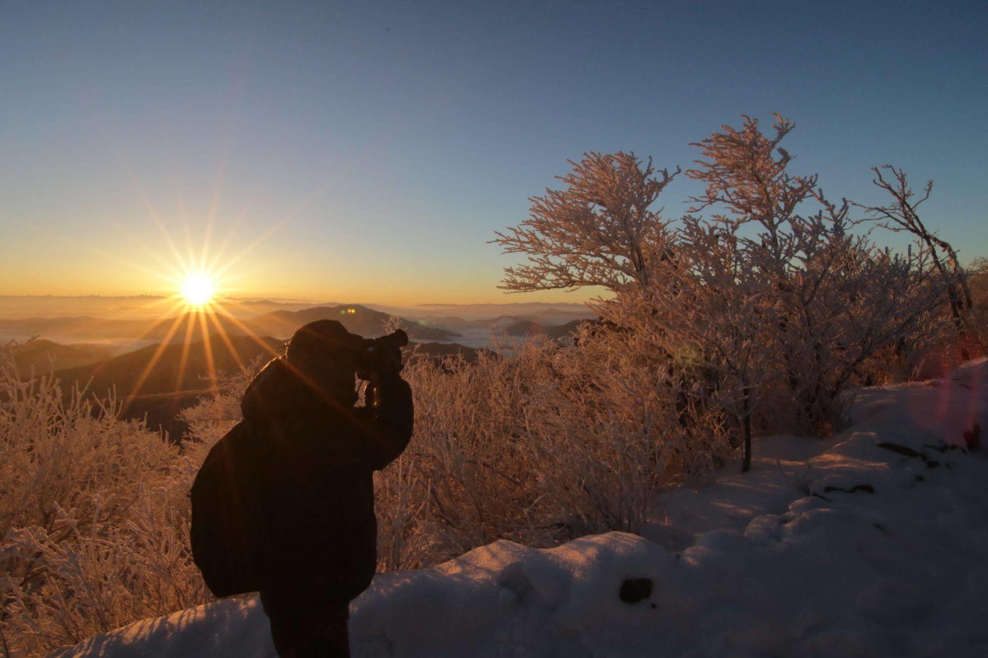 Yongpyong Resort Villa Condominium Pyeongchang Eksteriør billede